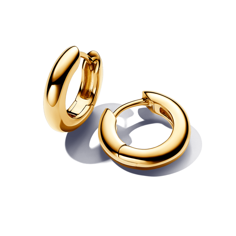 Apvalūs lanko formos auskarai - Pandora Lietuva