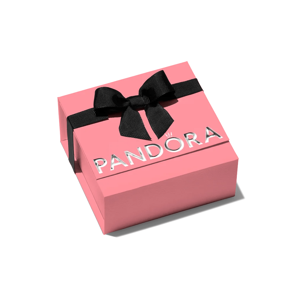 Aukščiausios kokybės rožinė dovanų dėžutė - Pandora Lietuva