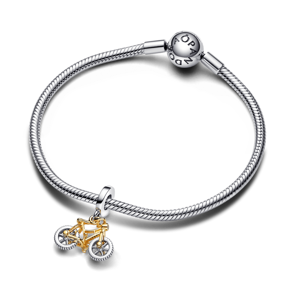 Dviejų atspalvių talismanas „Dviračio ratai“ - Pandora Lietuva