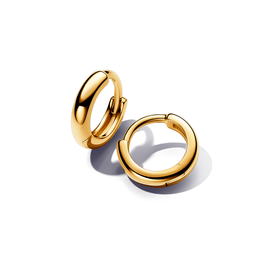 Dvigubi apvalūs lanko formos auskarai - Pandora Lietuva