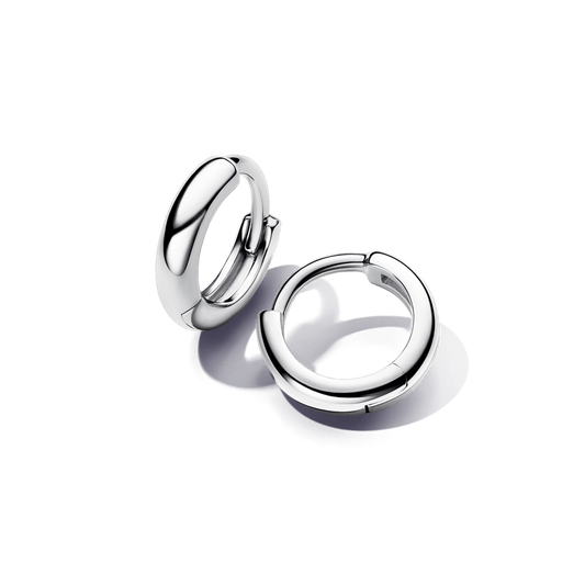 Dvigubi apvalūs lanko formos auskarai - Pandora Lietuva