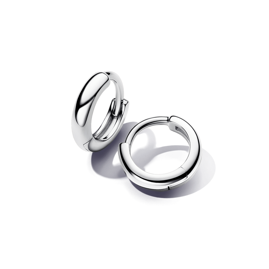 Dvigubi apvalūs lanko formos auskarai - Pandora Lietuva