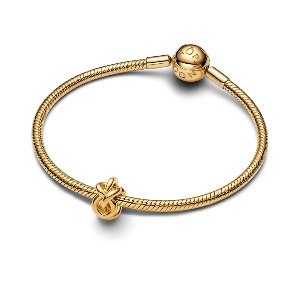 Karoliukas „Begalybės mazgas“ - Pandora Lietuva