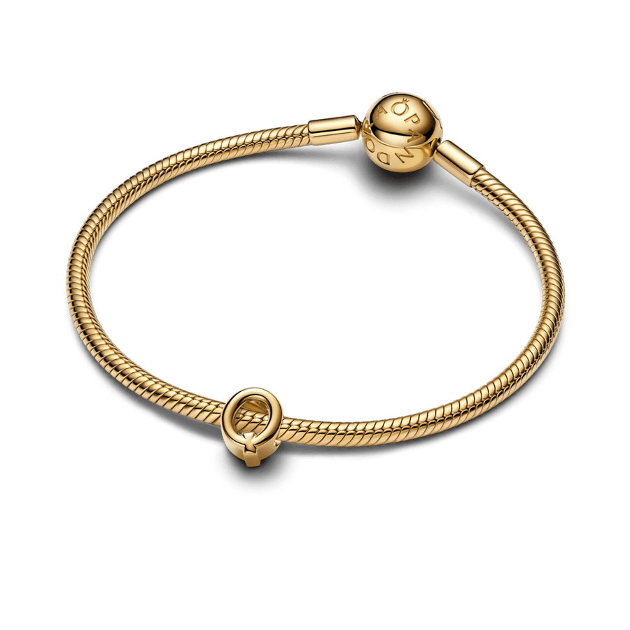 Karoliukas „Raidė Q“ - Pandora Lietuva