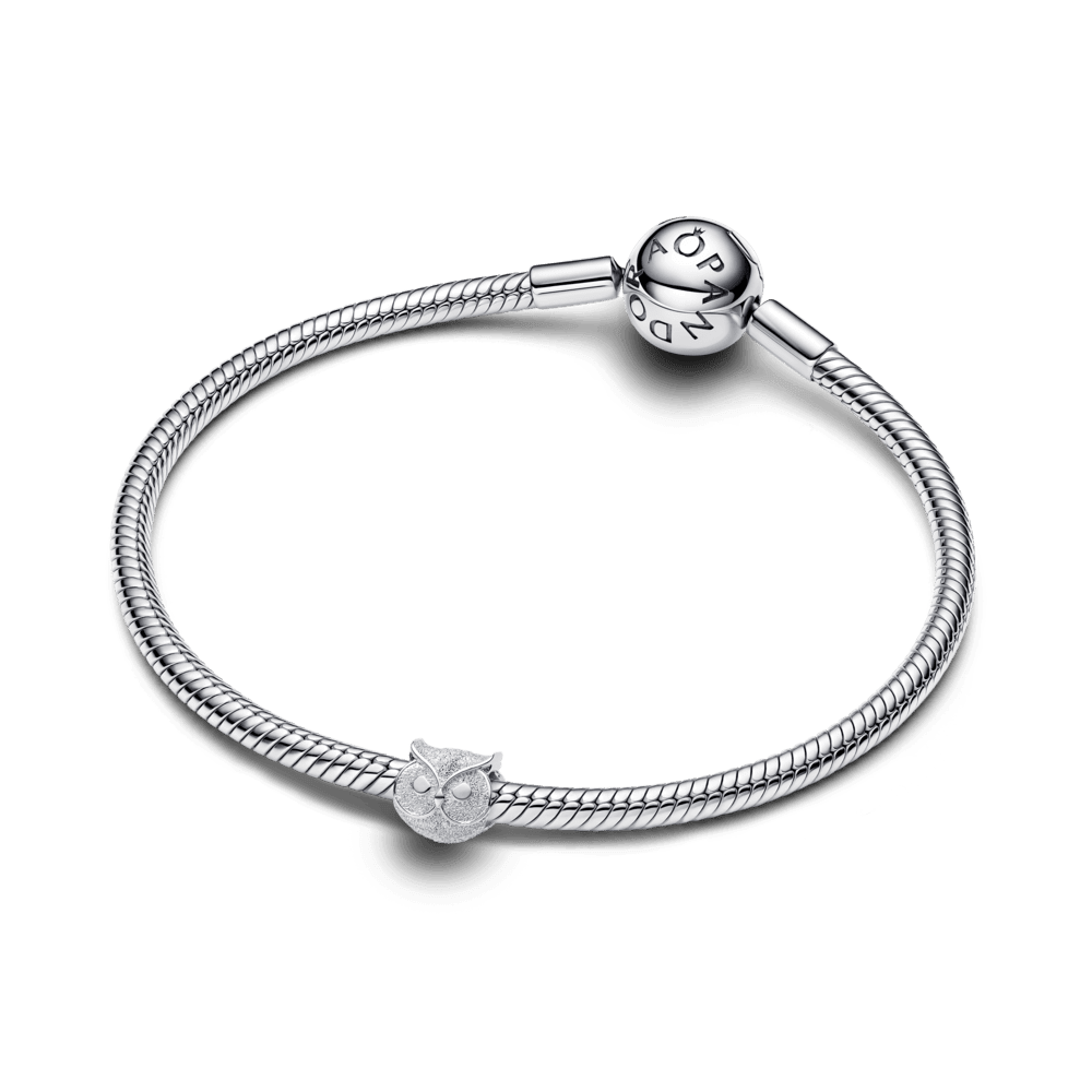 Tekstūrinis mini karoliukas „Pelėda“ - Pandora Lietuva