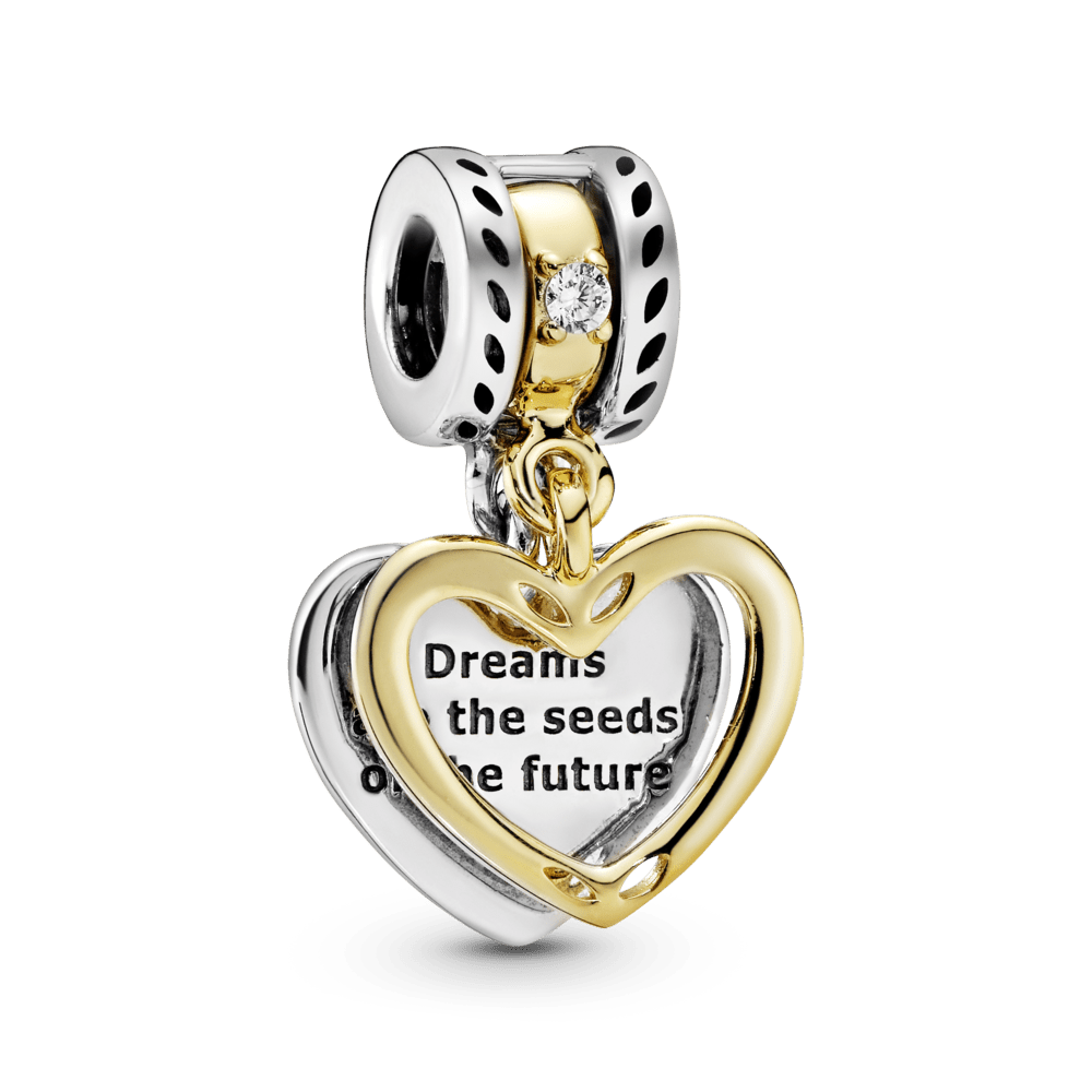 Ateities sėklos - Pandora Lietuva