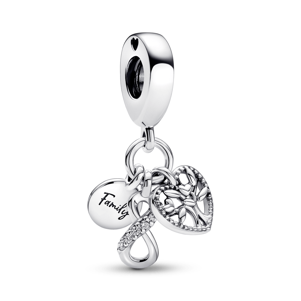 Pandora shops charm