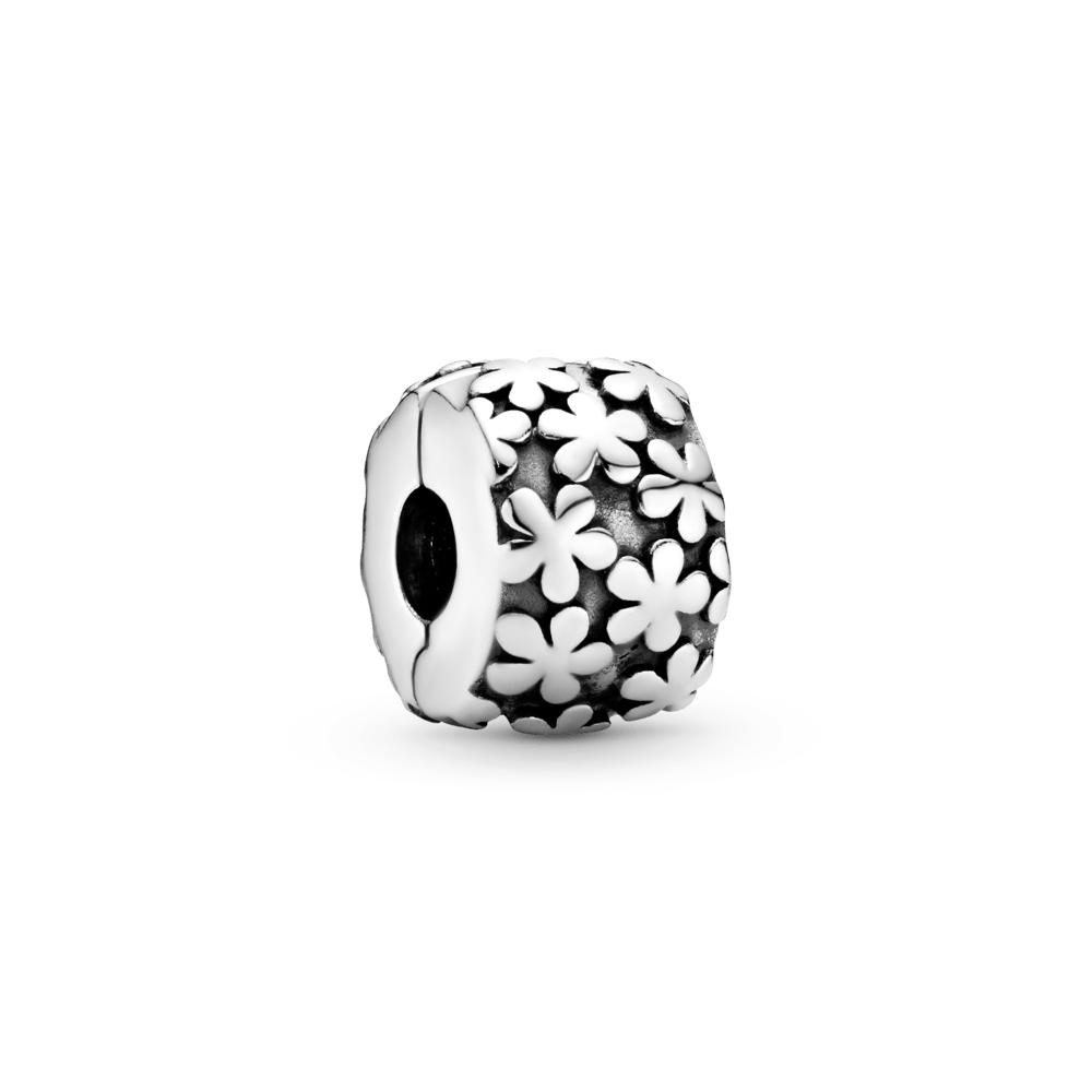 Gėlių Pliūpsnis - Pandora Lietuva