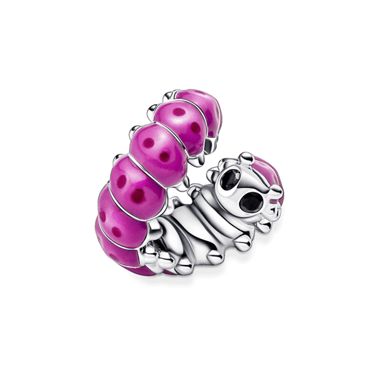 Karoliukas – Mielas susiraitęs vikšras - Pandora LT