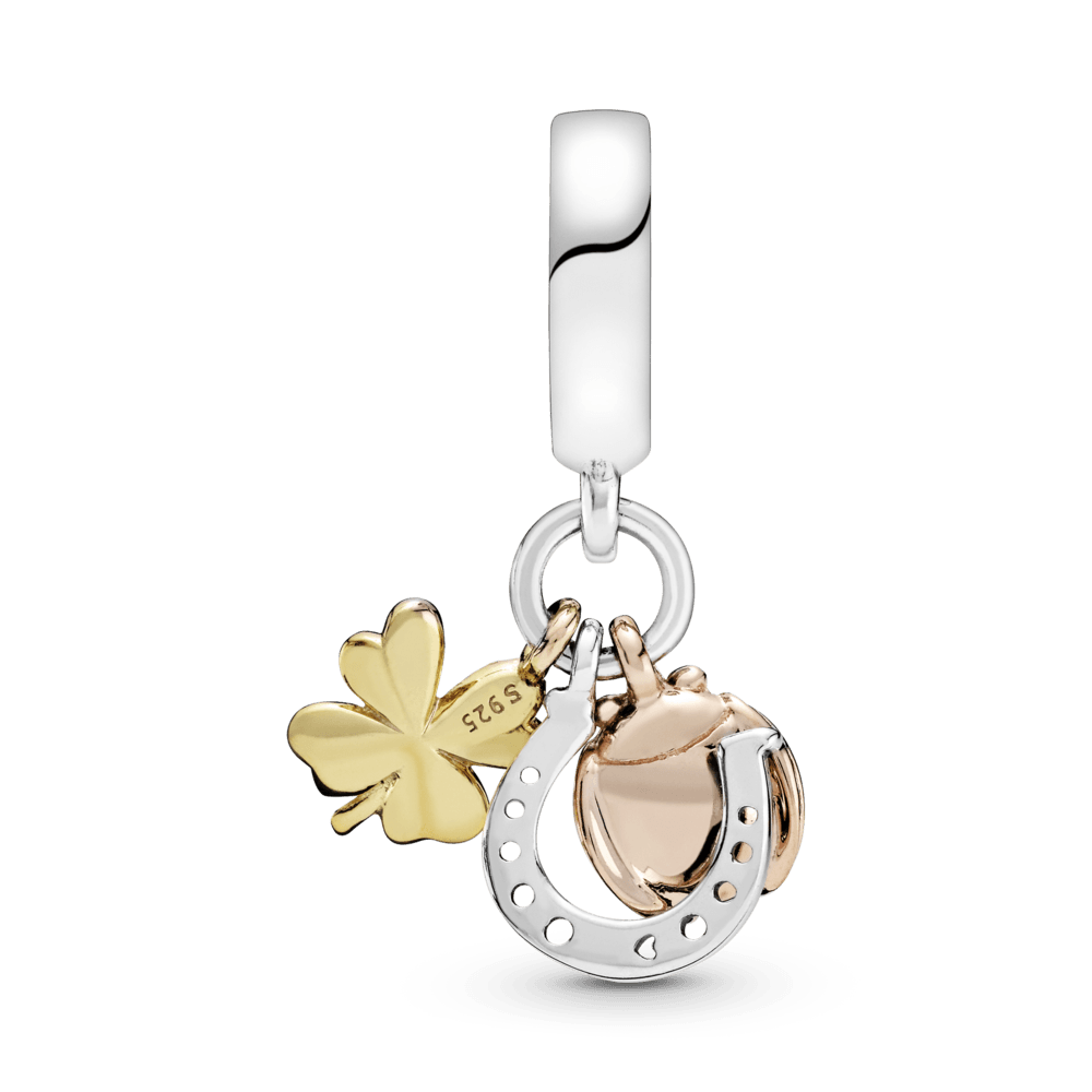 Pasaga, dobilėlis ir boružėlė - Pandora LT