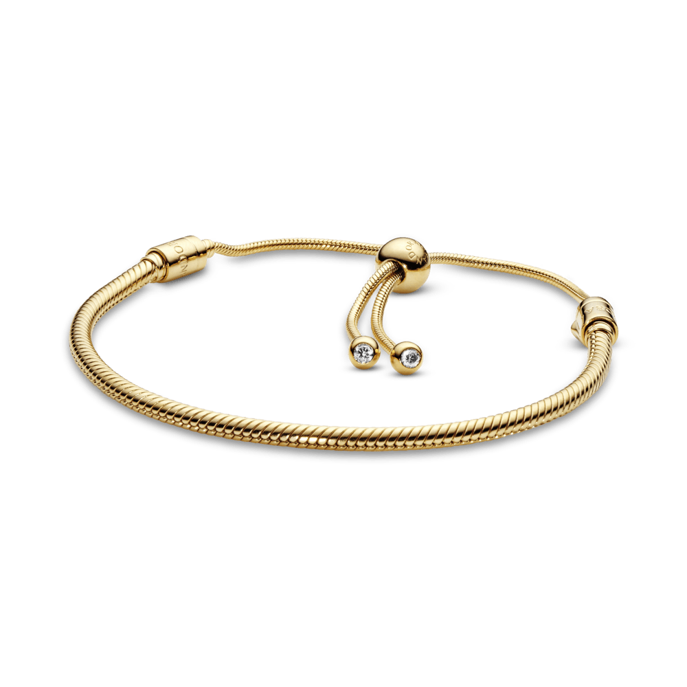 Slankioji apyrankė „Moments“ - Pandora LT