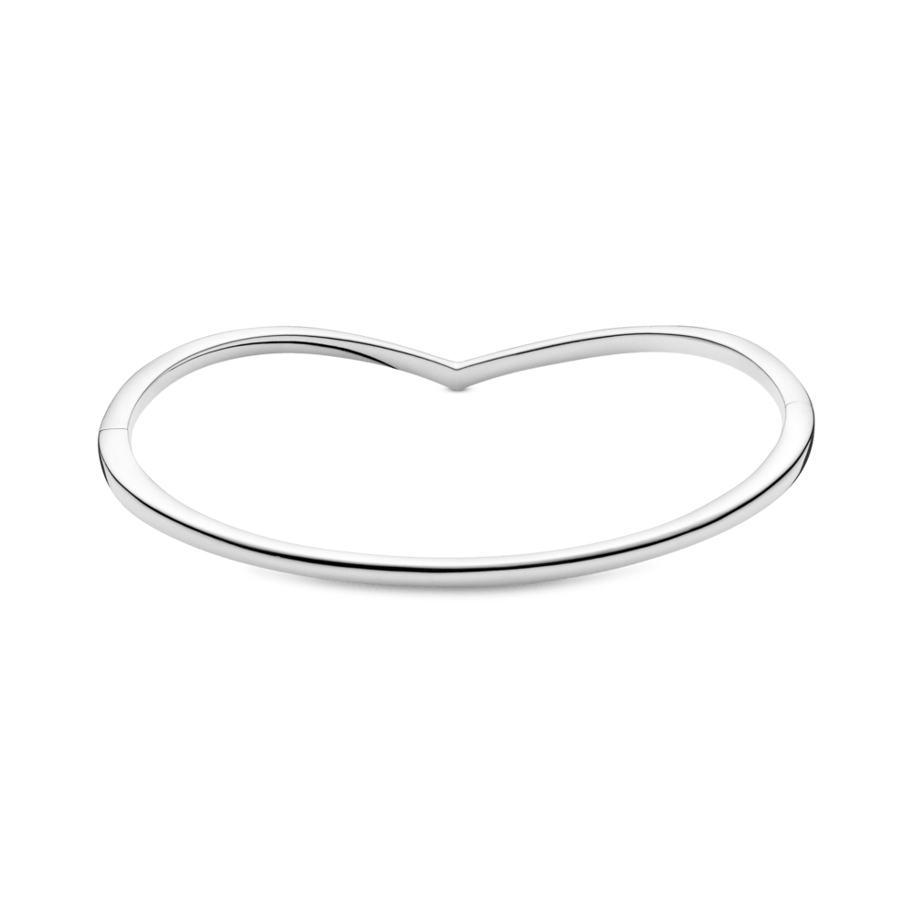 Standžioji apyrankė „Spindintis noras“ - Pandora LT