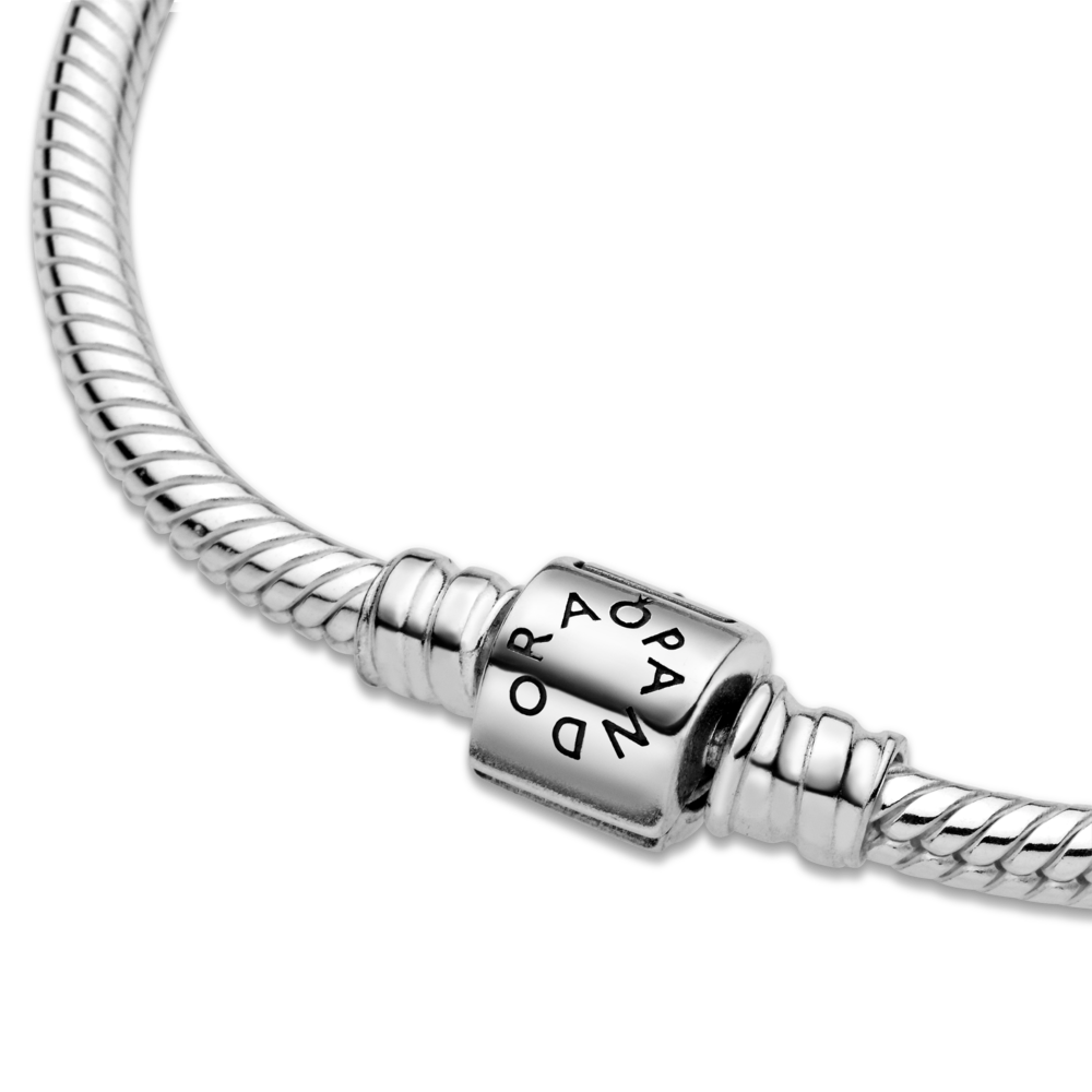 Pandora Moments laisvos formos užsegimas ir gyvatės pynimo grandinėlės apyrankė