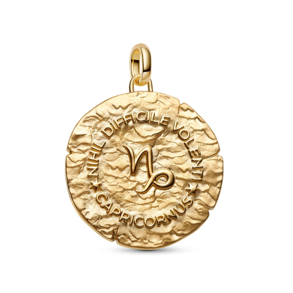 Didelis Ožiaragio zodiako ženklo medaliono karoliukas