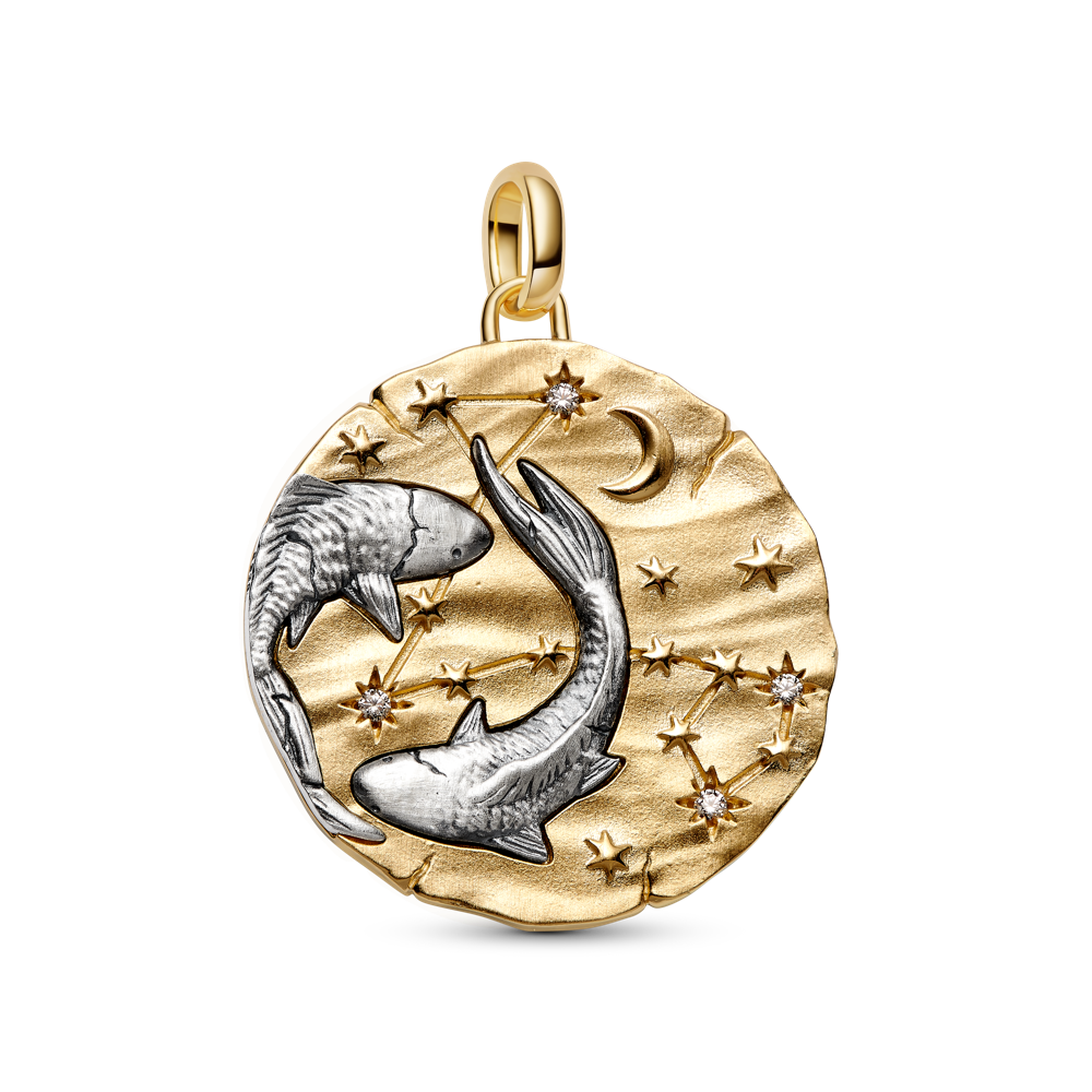 Didelis Žuvų zodiako ženklo medaliono karoliukas