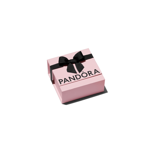 Aukščiausios kokybės rožinė dovanų dėžutė - Pandora Lietuva