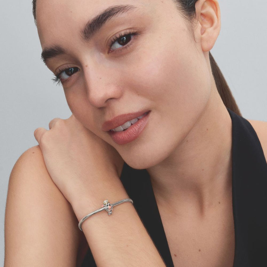 „Disney Pixar“ karoliukas „La troškinio“ Remis“ - Pandora Lietuva