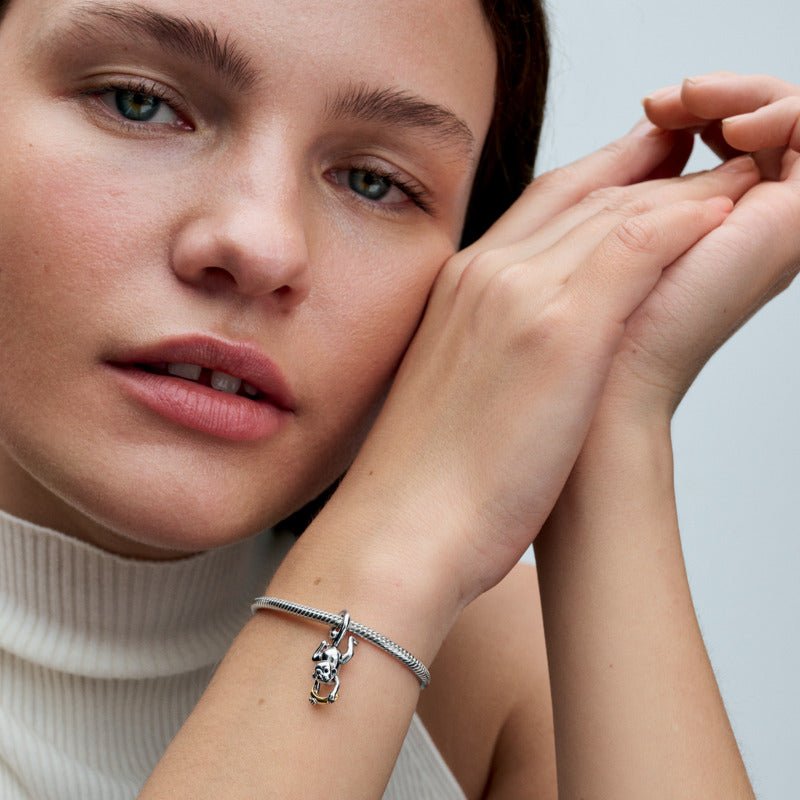 Dviejų atspalvių nuimamas talismanas „Beždžionėlė“ - Pandora Lietuva