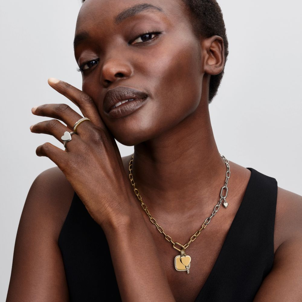 Dviejų atspalvių pailgintų grandžių grandinėlė - Pandora Lietuva