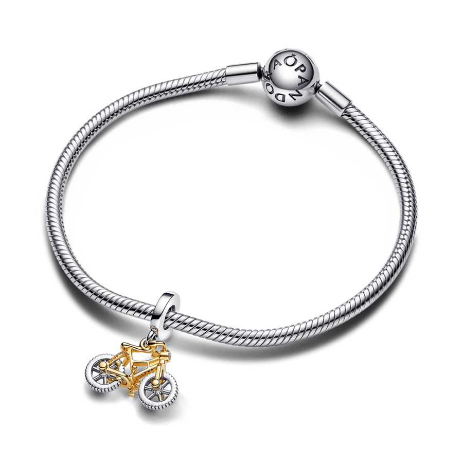 Dviejų atspalvių talismanas „Dviračio ratai“ - Pandora Lietuva