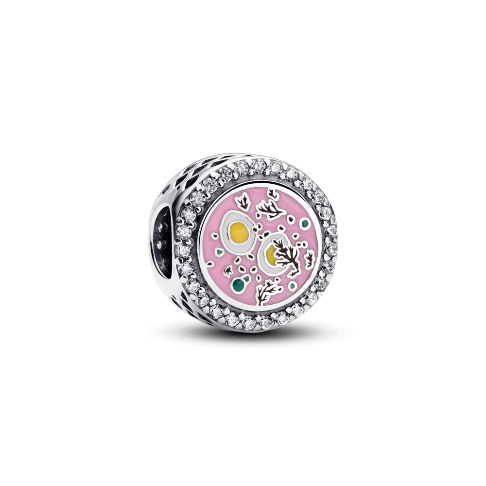 Karoliukas „Baltijos šalių skonis“ - Pandora Lietuva