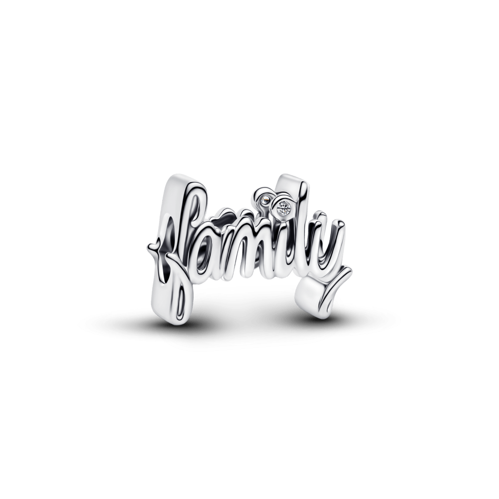 Karoliukas su žodžiu „Šeima“ - Pandora Lietuva