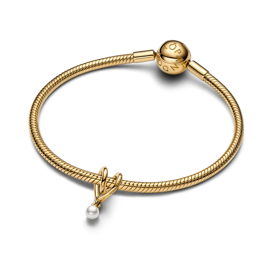 Karoliukas „Susukta širdis“ - Pandora Lietuva