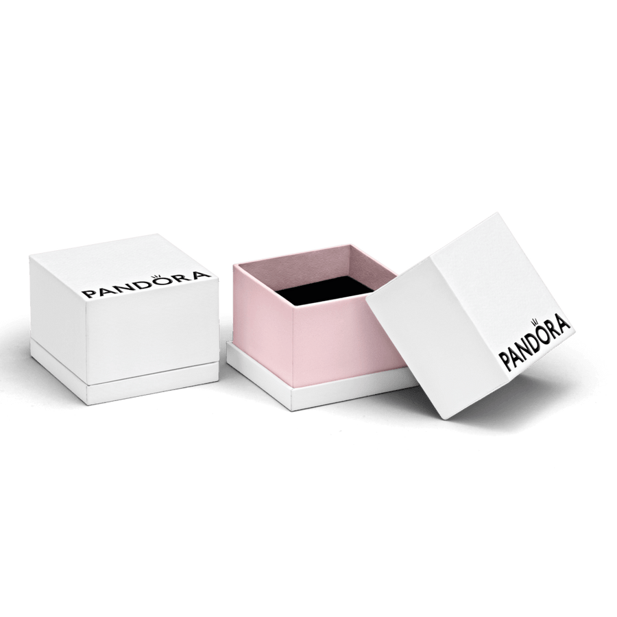 Maža dėžutė - Pandora Lietuva