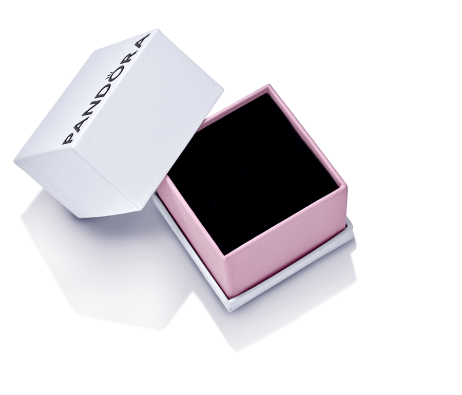 Maža dėžutė - Pandora Lietuva