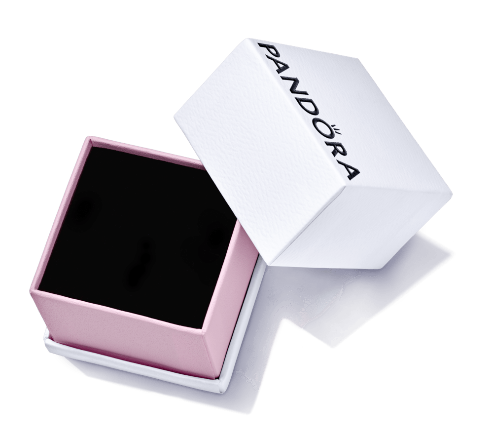 Maža dėžutė - Pandora Lietuva