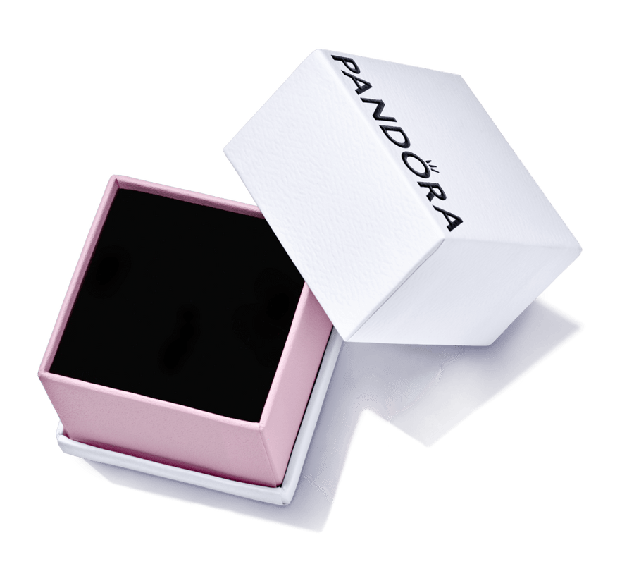 Maža dėžutė - Pandora Lietuva