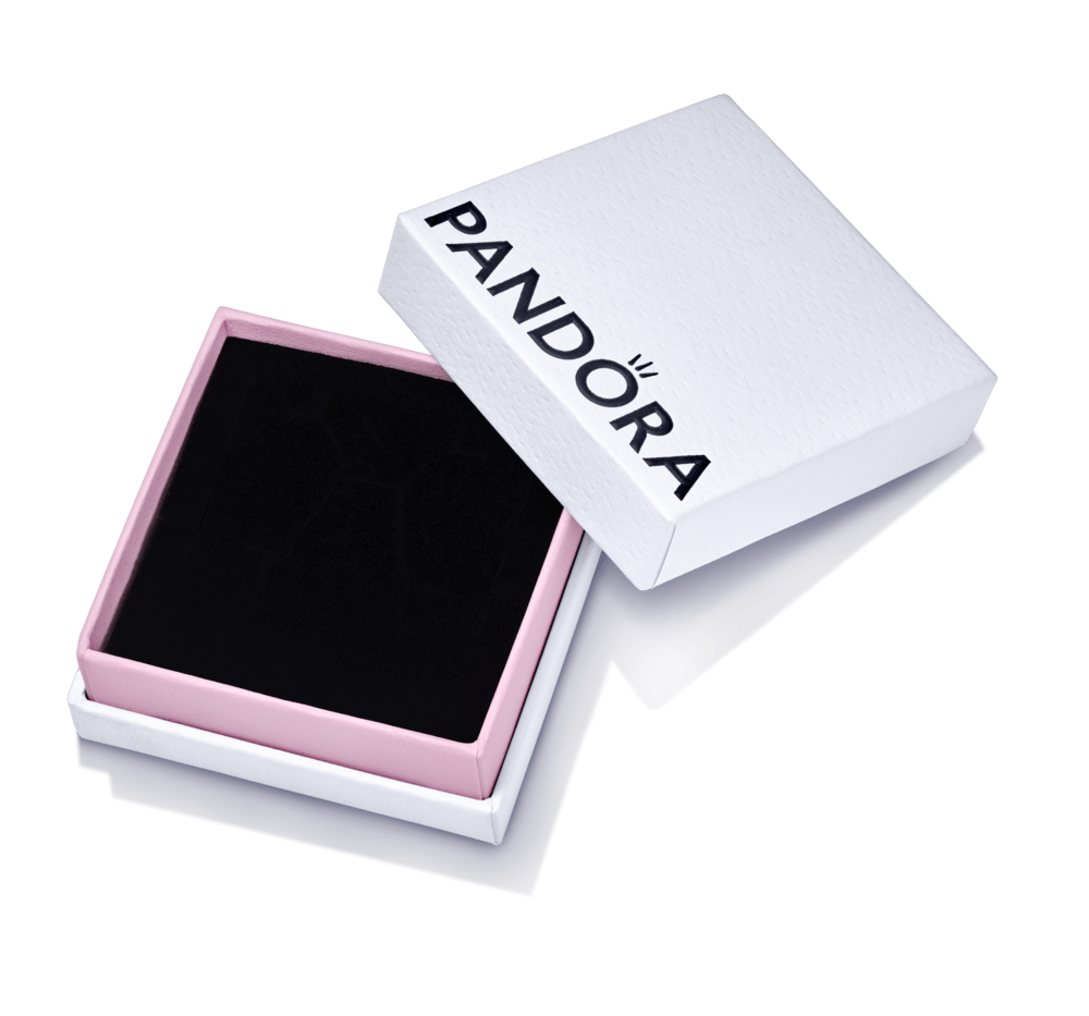 Maža papuošalų dėžutė - Pandora Lietuva