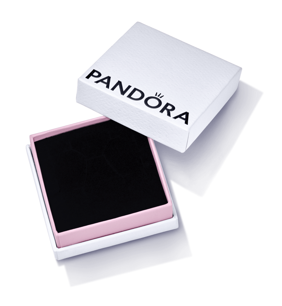 Maža papuošalų dėžutė - Pandora Lietuva