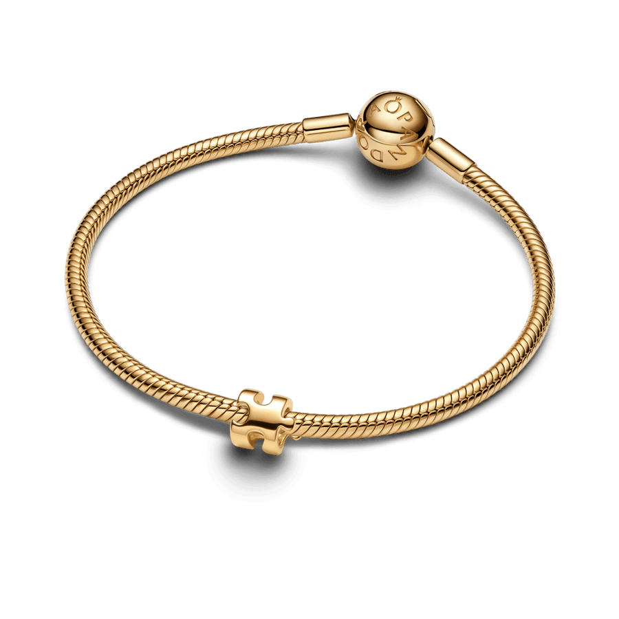 Mini karoliukas „Dėlionės gabalėlis“ - Pandora Lietuva