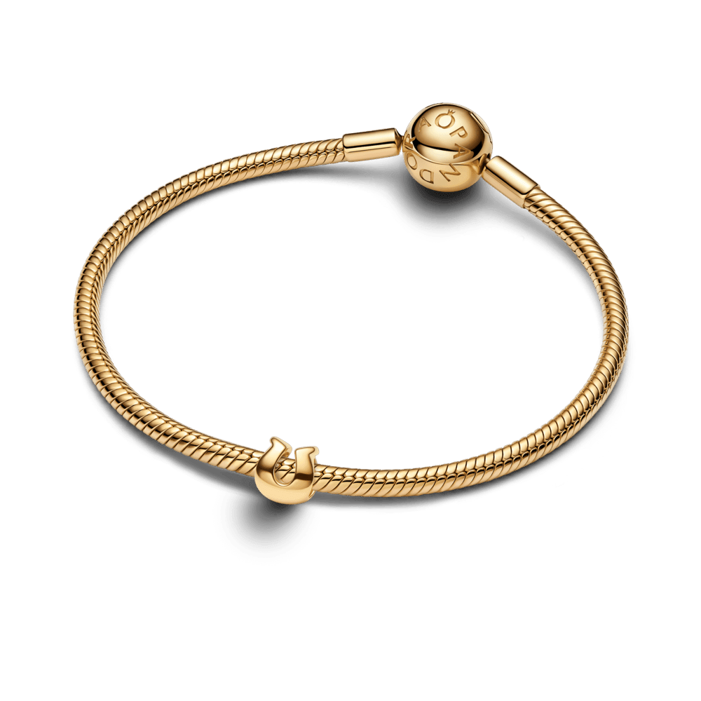 Mini karoliukas „Pasaga“ - Pandora Lietuva