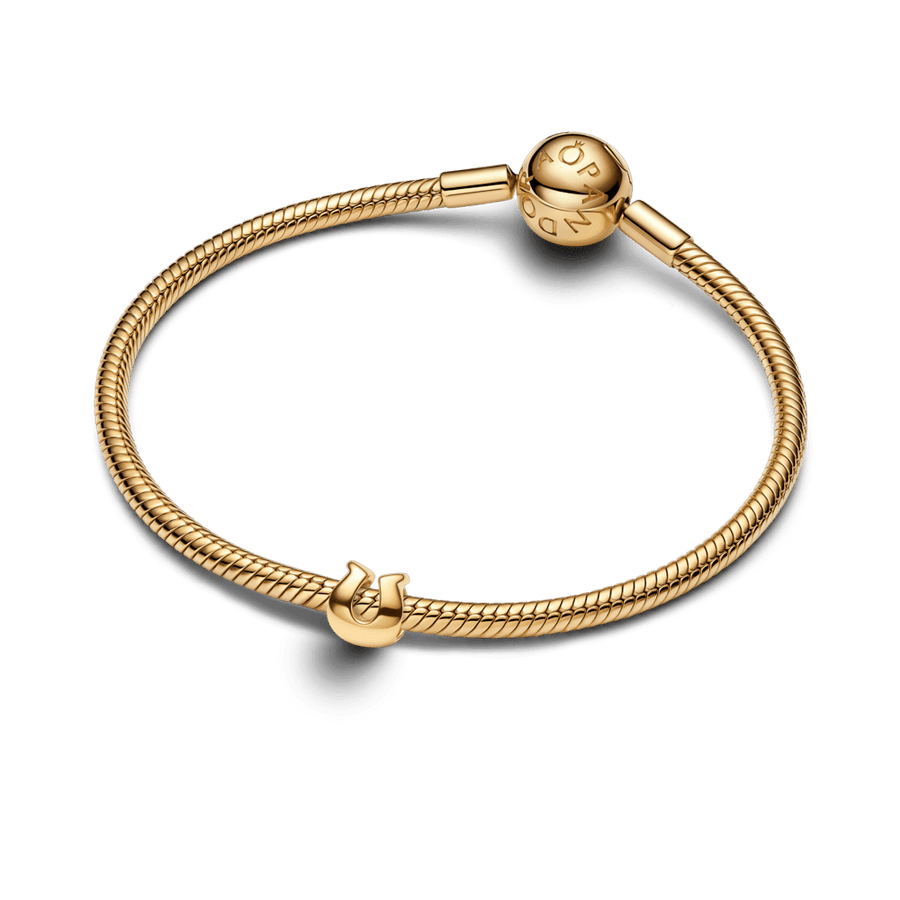 Mini karoliukas „Pasaga“ - Pandora Lietuva