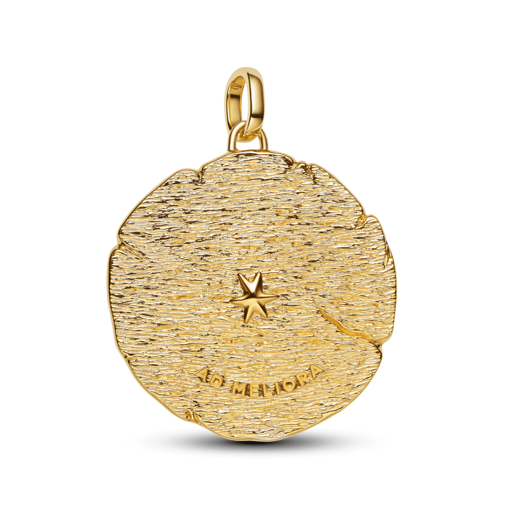 Pakabutis su dideliu medalionu „Sukryžiuotos strėlės“ - Pandora Lietuva