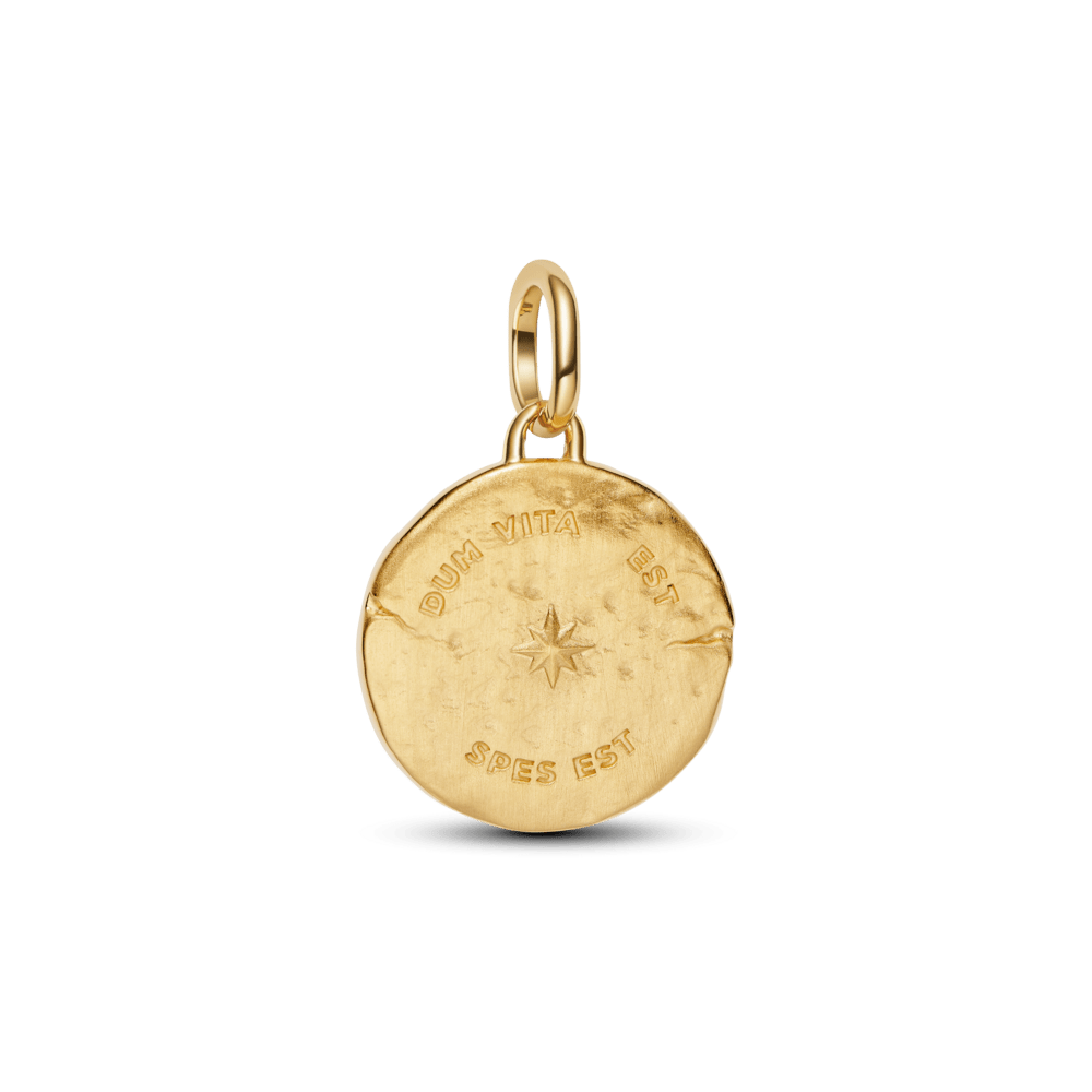 Pakabutis su medalionu „Kregždė“ - Pandora Lietuva