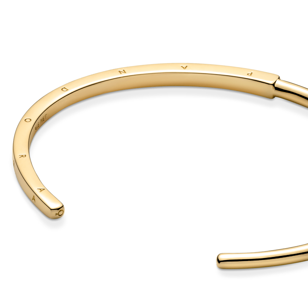 Pandora įstabi I - D apyrankė - Pandora Lietuva