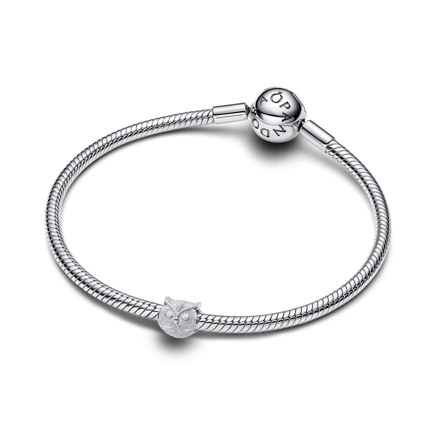 Tekstūrinis mini karoliukas „Pelėda“ - Pandora Lietuva