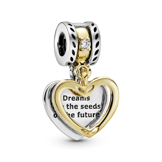 Ateities sėklos - Pandora Lietuva