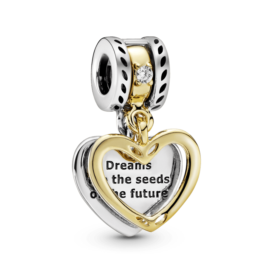 Ateities sėklos - Pandora Lietuva