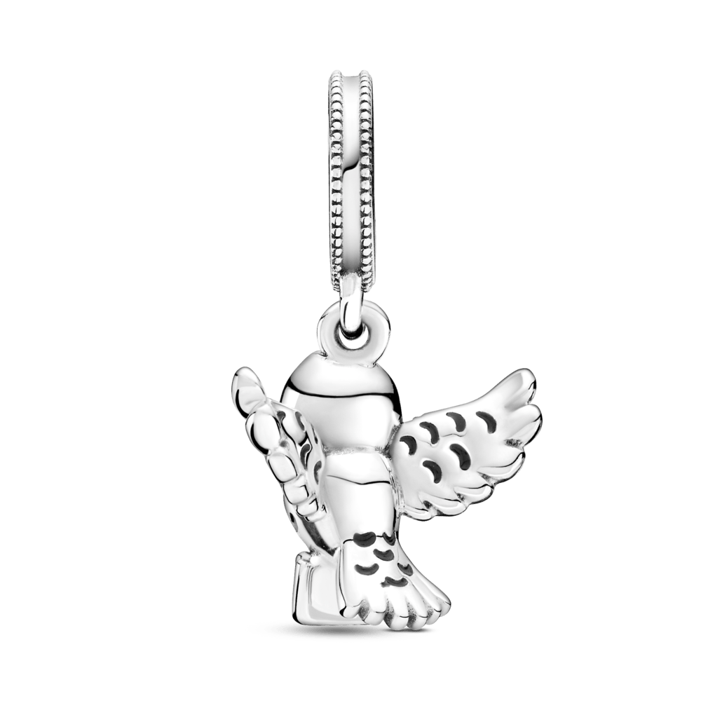 Hedvigo Pelėdos karoliukas iš Hario Poterio kolekcijos - Pandora Lietuva