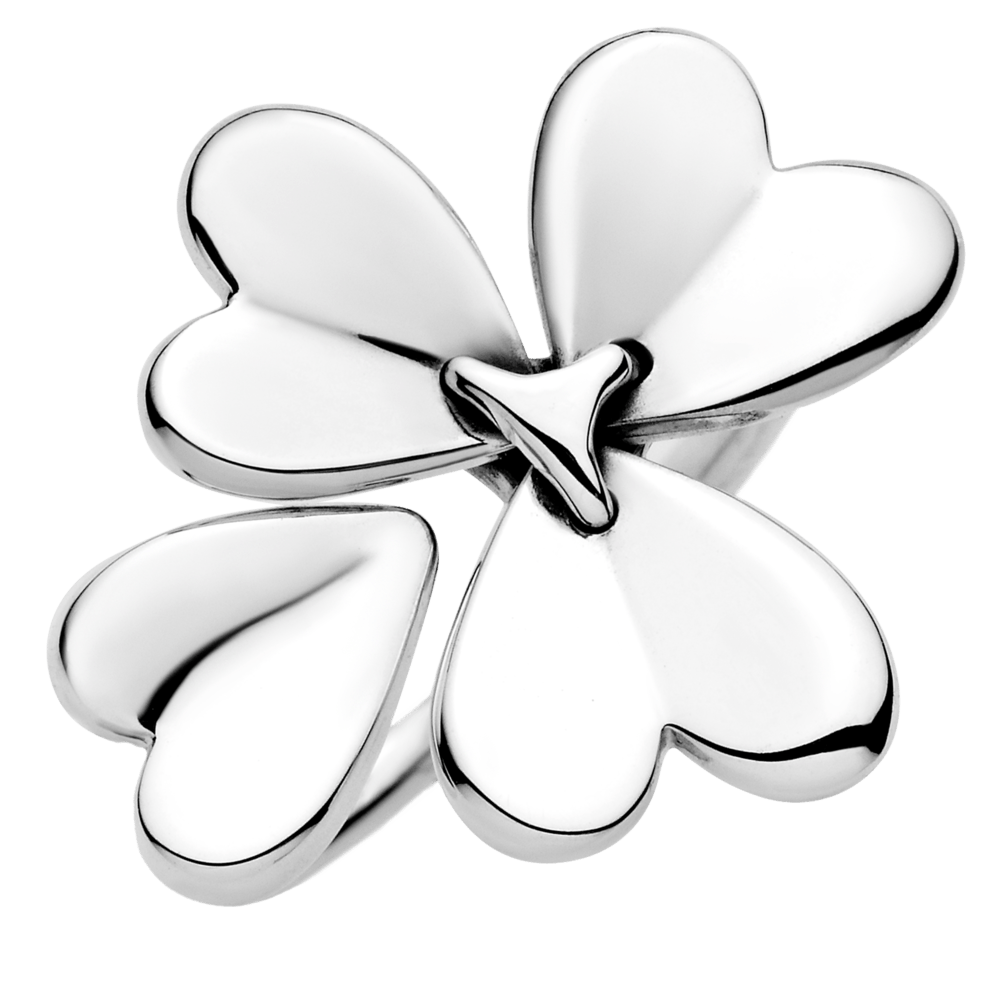 Judantis dobilėlis - Pandora Lietuva