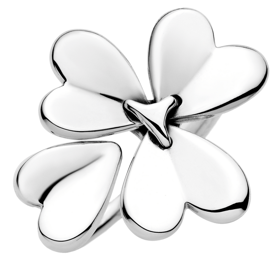 Judantis dobilėlis - Pandora Lietuva