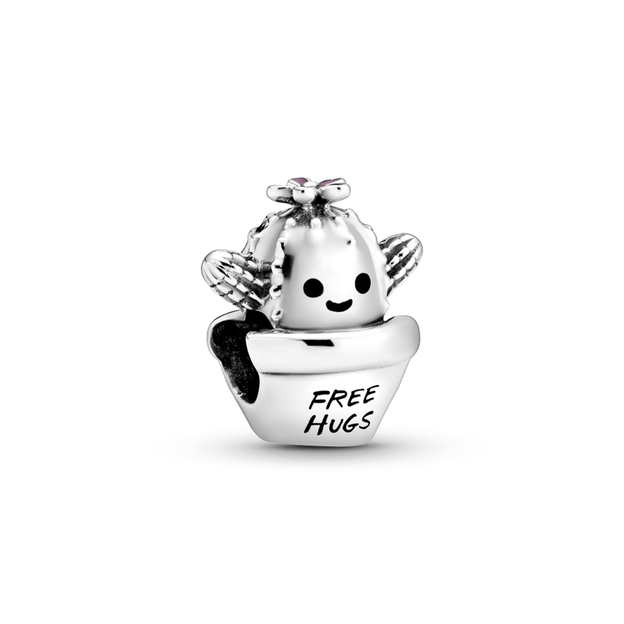 Kaktuso karoliukas - Pandora Lietuva