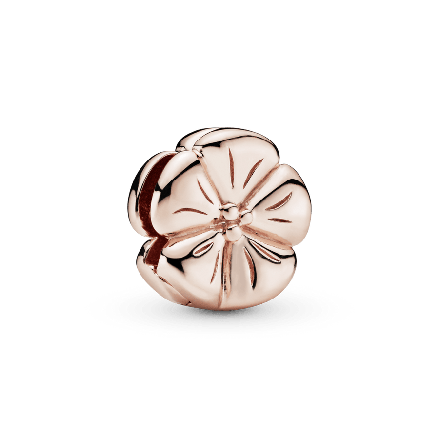 Klasikinė Gėlytė - Pandora Lietuva