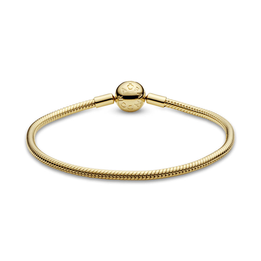 Lygi apyrankė „Akimirkos“ - Pandora LT