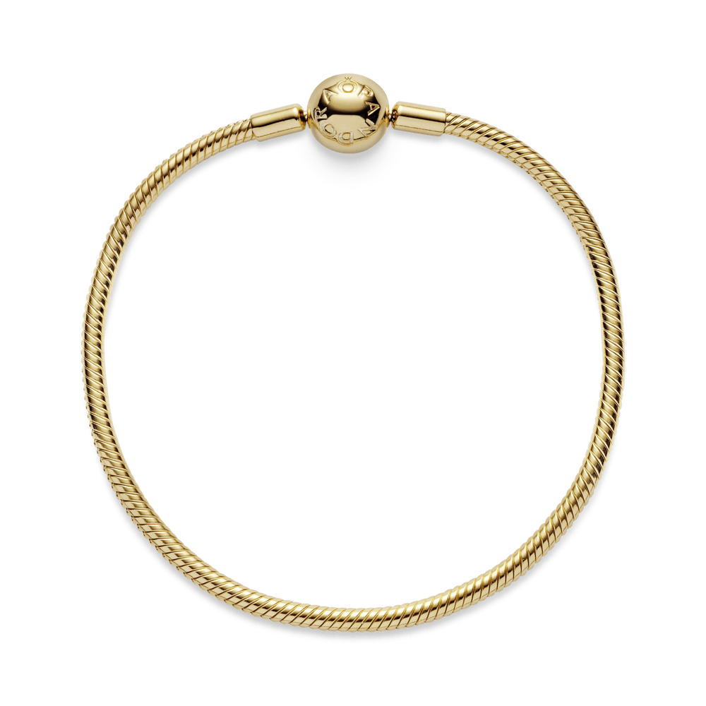 Lygi apyrankė „Akimirkos“ - Pandora LT