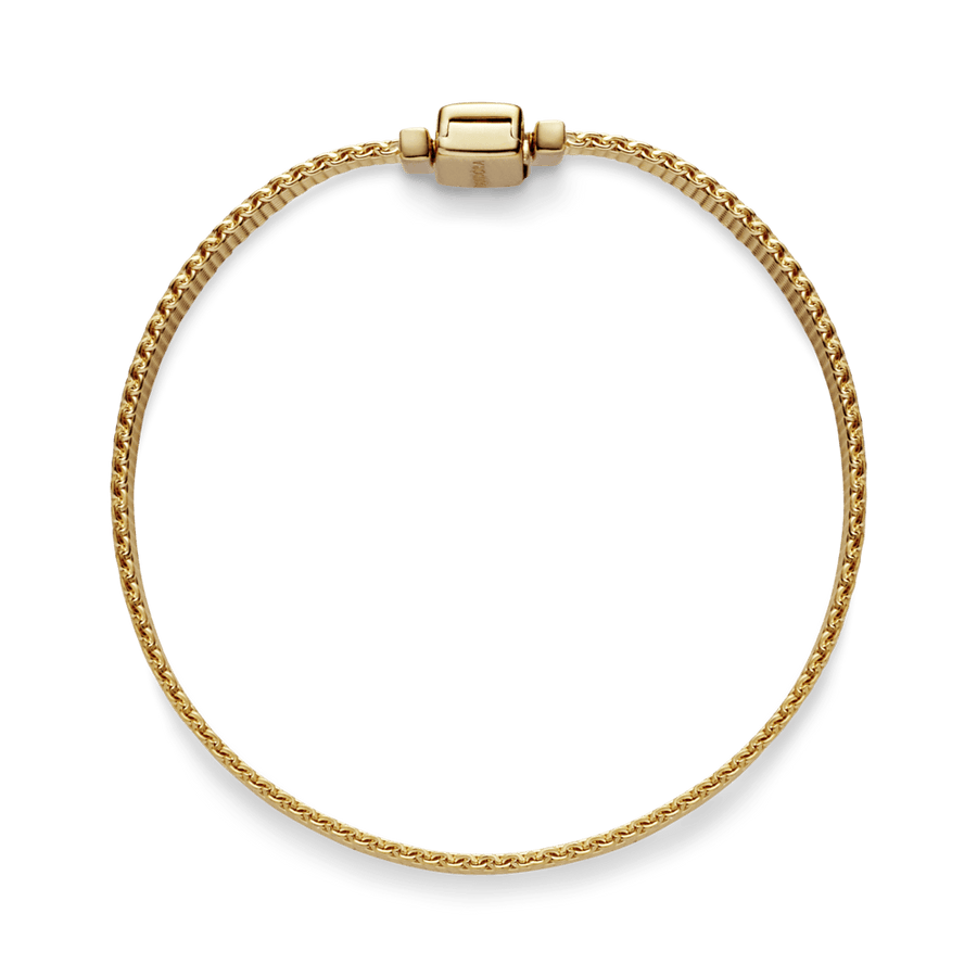 Pandora Reflexions apyrankė - Pandora LT